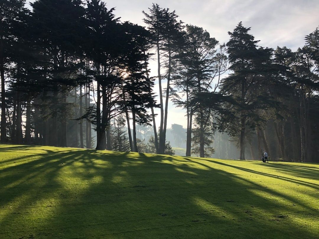 Solbelyst, gräsbevuxen golfbana mellan höga träd på morgonen